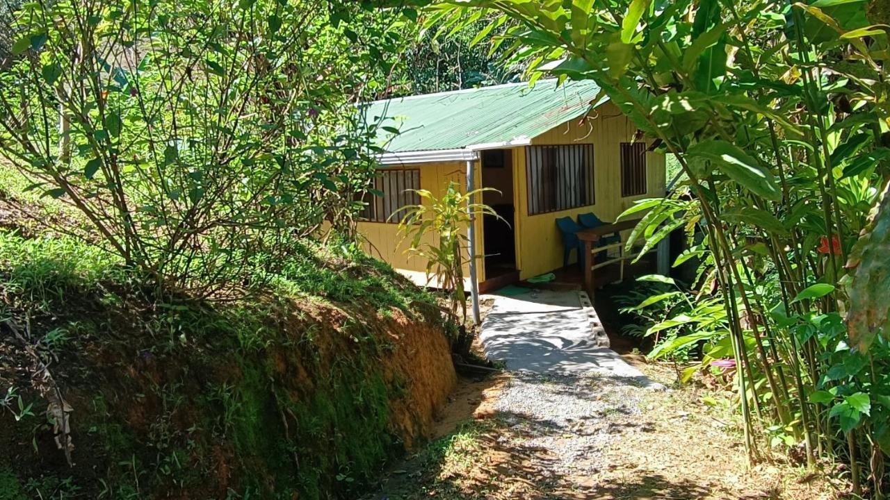 Cabanas Tico Gringo Дрейк Екстер'єр фото