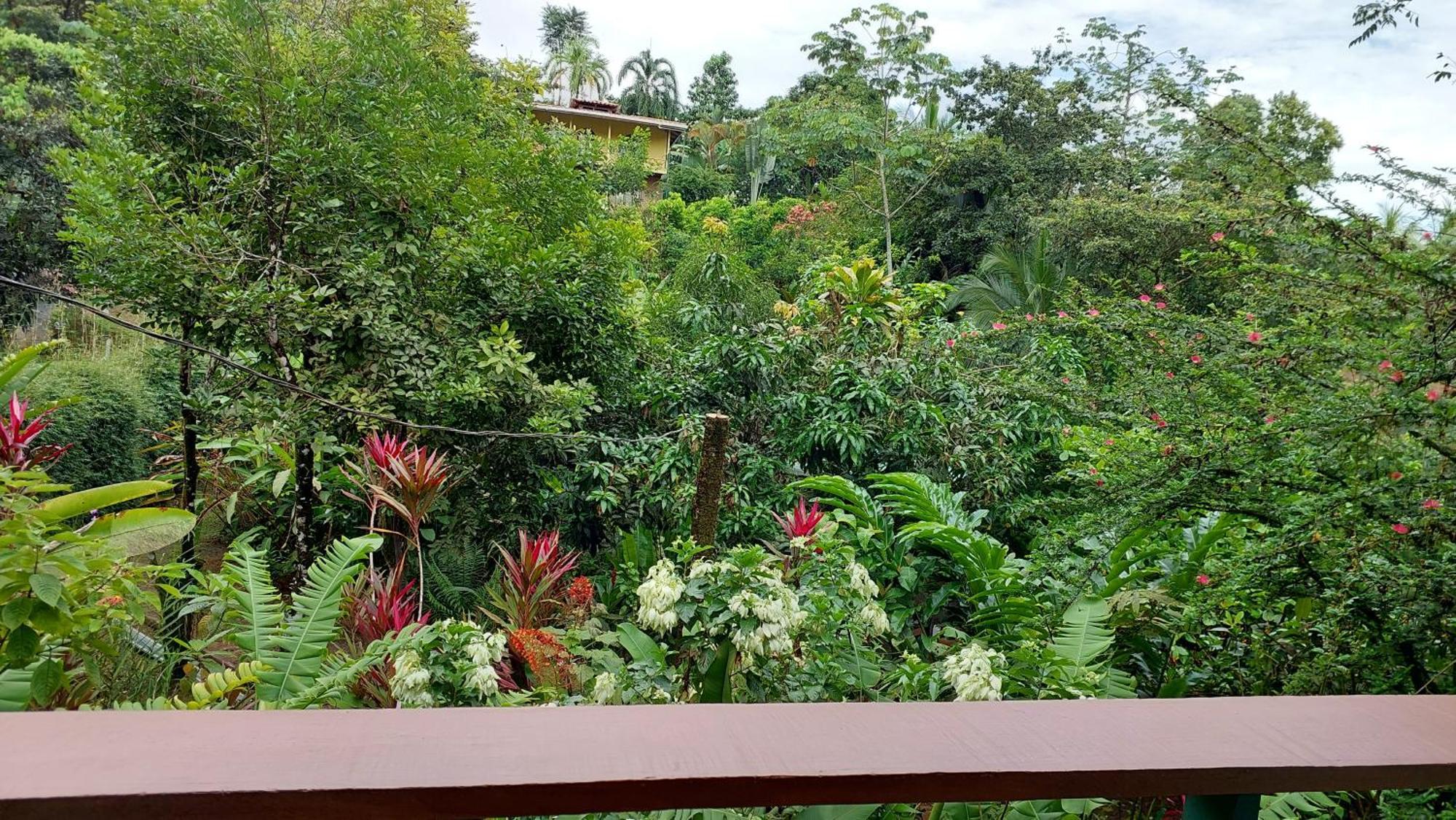 Cabanas Tico Gringo Дрейк Екстер'єр фото